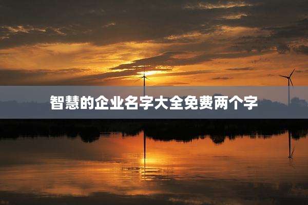 智慧的企业名字大全免费两个字