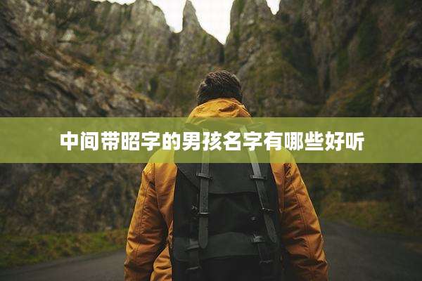中间带昭字的男孩名字有哪些好听