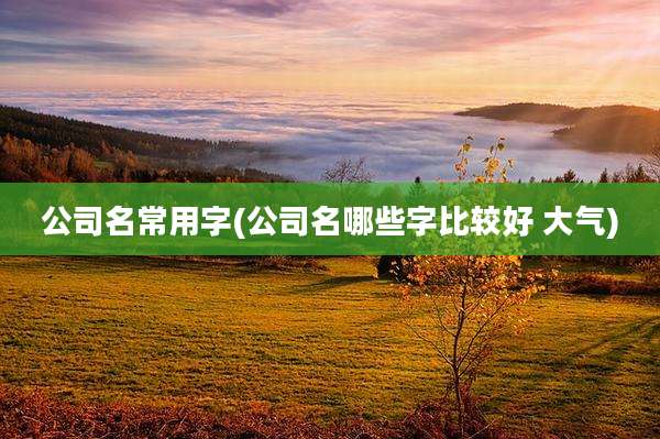 公司名常用字(公司名哪些字比较好 大气)