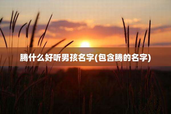 腾什么好听男孩名字(包含腾的名字)