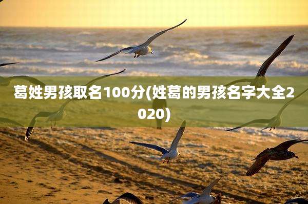 葛姓男孩取名100分(姓葛的男孩名字大全2020)
