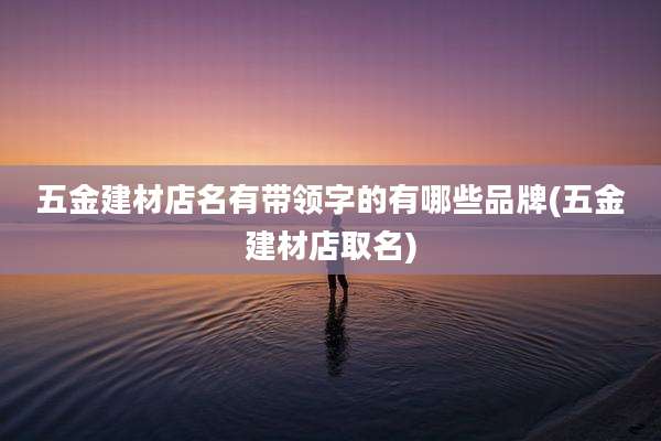 五金建材店名有带领字的有哪些品牌(五金建材店取名)