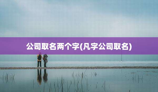 公司取名两个字(凡字公司取名)