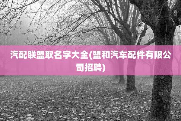 汽配联盟取名字大全(盟和汽车配件有限公司招聘)