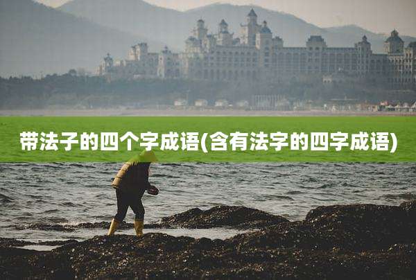 带法子的四个字成语(含有法字的四字成语)