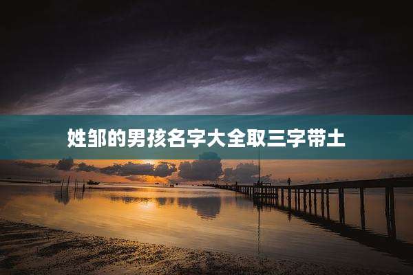 姓邹的男孩名字大全取三字带土