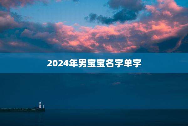 2024年男宝宝名字单字