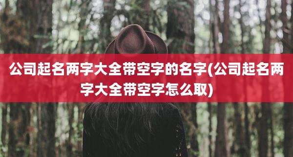 公司起名两字大全带空字的名字(公司起名两字大全带空字怎么取)