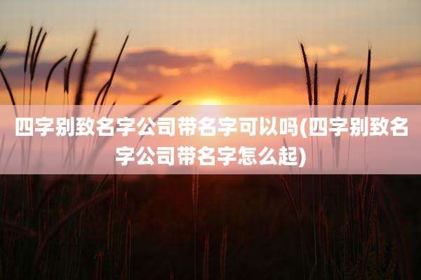 四字别致名字公司带名字可以吗(四字别致名字公司带名字怎么起)