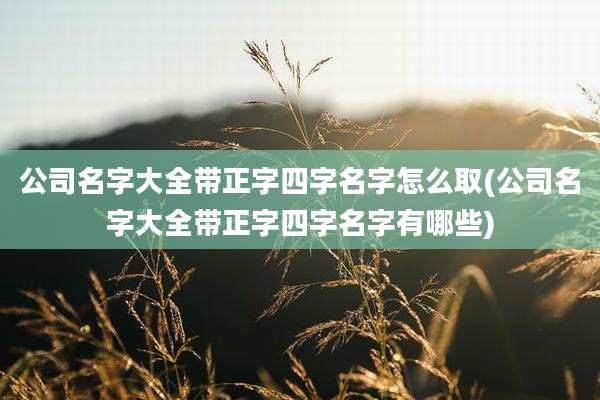 公司名字大全带正字四字名字怎么取(公司名字大全带正字四字名字有哪些)
