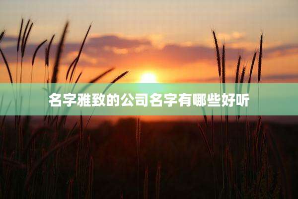 名字雅致的公司名字有哪些好听