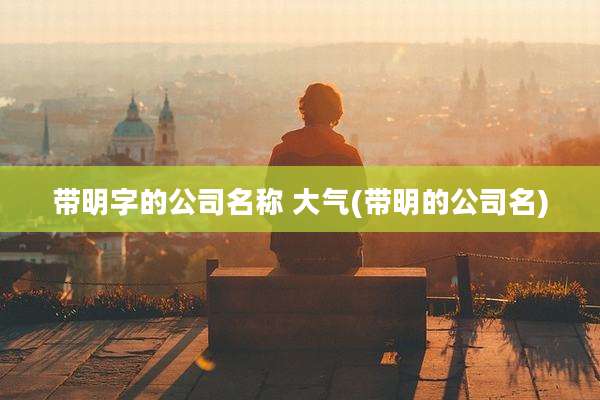 带明字的公司名称 大气(带明的公司名)