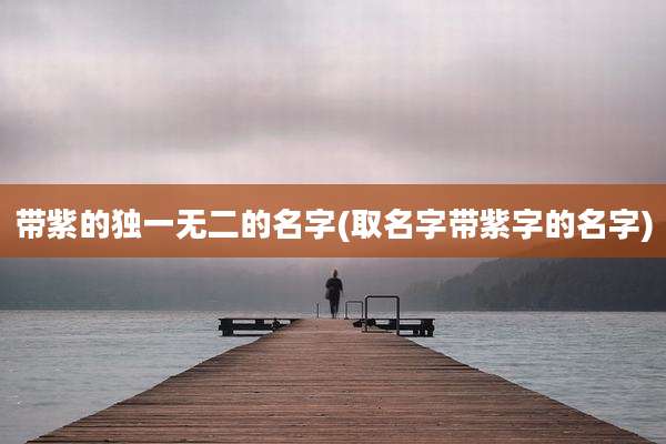 带紫的独一无二的名字(取名字带紫字的名字)