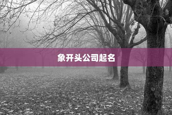 象开头公司起名
