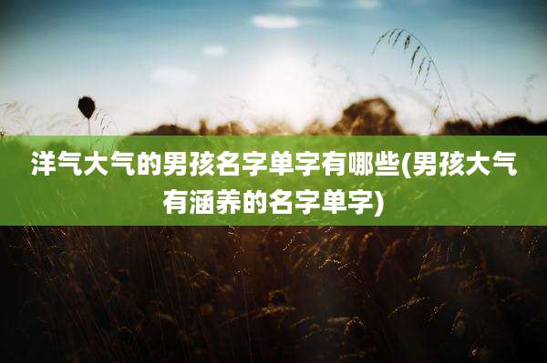 洋气大气的男孩名字单字有哪些(男孩大气有涵养的名字单字)