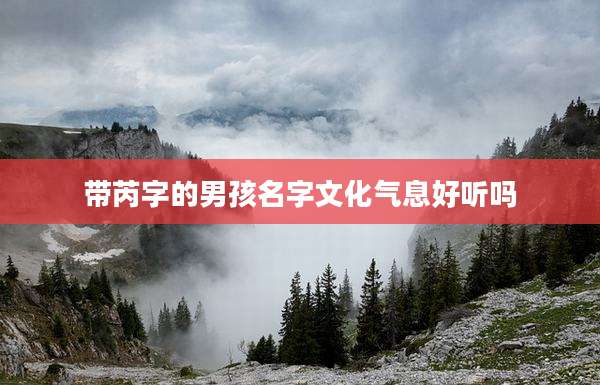 带芮字的男孩名字文化气息好听吗