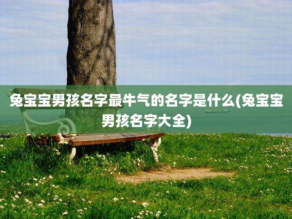 兔宝宝男孩名字最牛气的名字是什么(兔宝宝男孩名字大全)