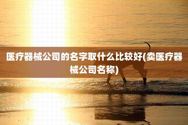 医疗器械公司的名字取什么比较好(卖医疗器械公司名称)