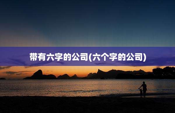 带有六字的公司(六个字的公司)