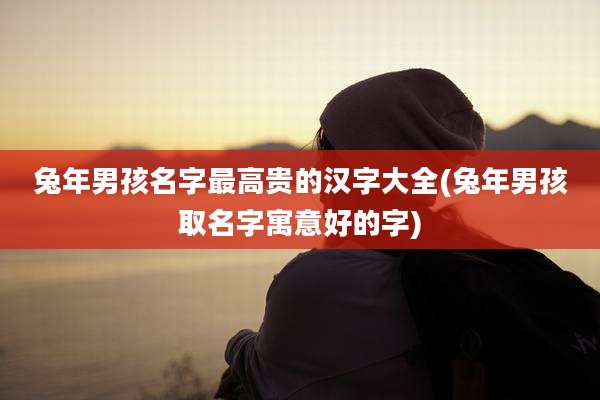兔年男孩名字最高贵的汉字大全(兔年男孩取名字寓意好的字)