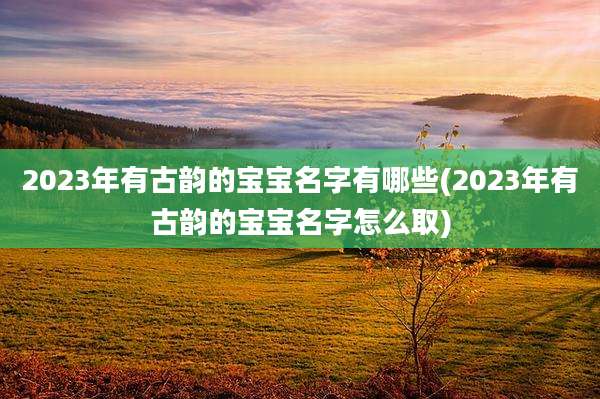 2023年有古韵的宝宝名字有哪些(2023年有古韵的宝宝名字怎么取)