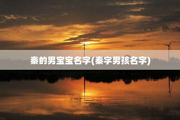 秦的男宝宝名字(秦字男孩名字)