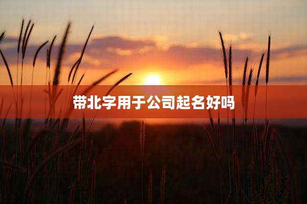 带北字用于公司起名好吗