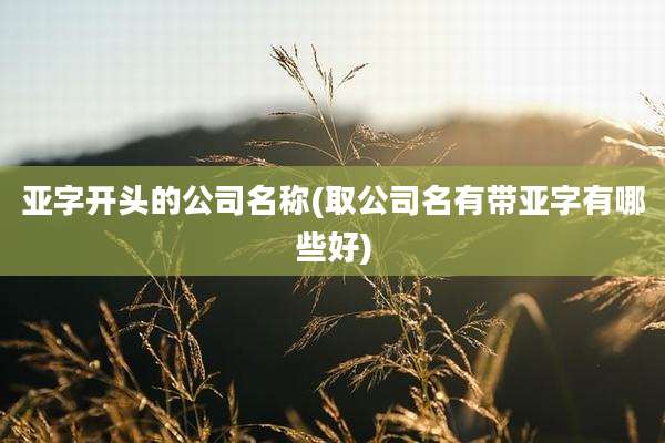 亚字开头的公司名称(取公司名有带亚字有哪些好)
