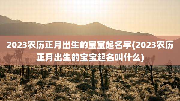 2023农历正月出生的宝宝起名字(2023农历正月出生的宝宝起名叫什么)