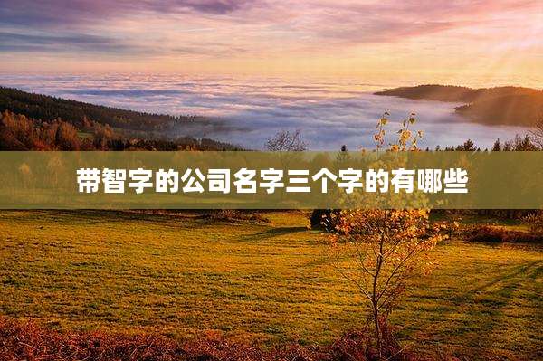 带智字的公司名字三个字的有哪些