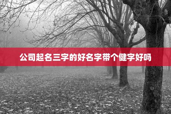 公司起名三字的好名字带个健字好吗