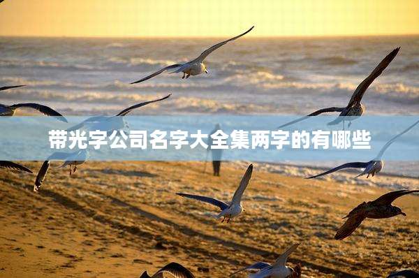 带光字公司名字大全集两字的有哪些