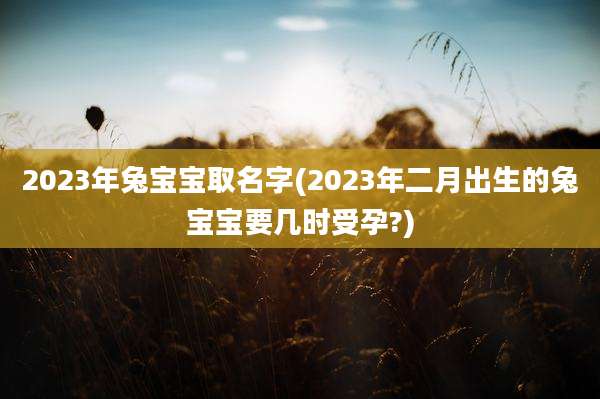 2023年兔宝宝取名字(2023年二月出生的兔宝宝要几时受孕?)