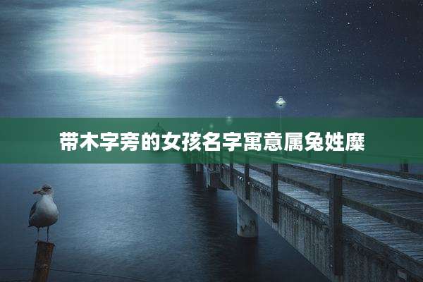 带木字旁的女孩名字寓意属兔姓糜