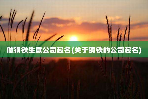 做钢铁生意公司起名(关于钢铁的公司起名)