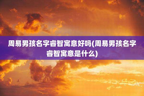 周易男孩名字睿智寓意好吗(周易男孩名字睿智寓意是什么)