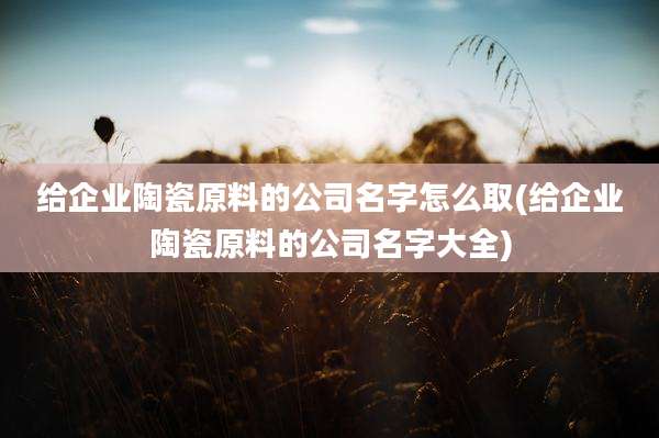给企业陶瓷原料的公司名字怎么取(给企业陶瓷原料的公司名字大全)