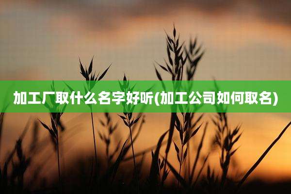 加工厂取什么名字好听(加工公司如何取名)