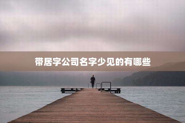 带居字公司名字少见的有哪些