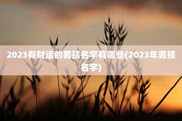 2023有财运的男孩名字有哪些(2023年男孩名字)
