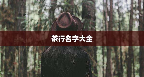 茶行名字大全