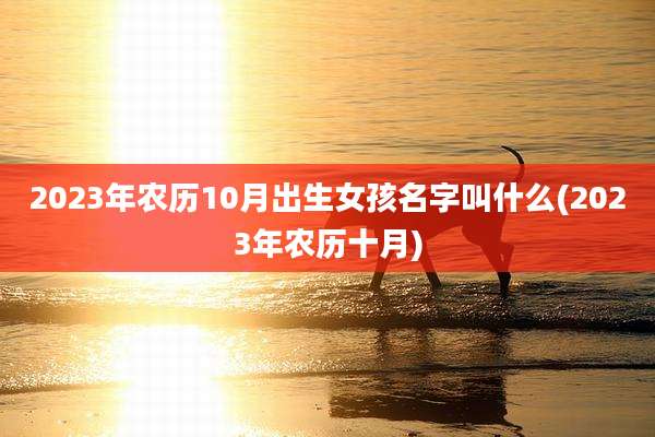 2023年农历10月出生女孩名字叫什么(2023年农历十月)