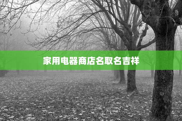 家用电器商店名取名吉祥
