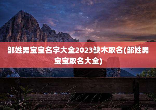 邹姓男宝宝名字大全2023缺木取名(邹姓男宝宝取名大全)