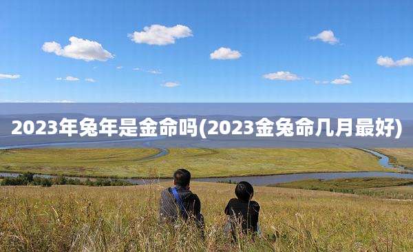 2023年兔年是金命吗(2023金兔命几月最好)