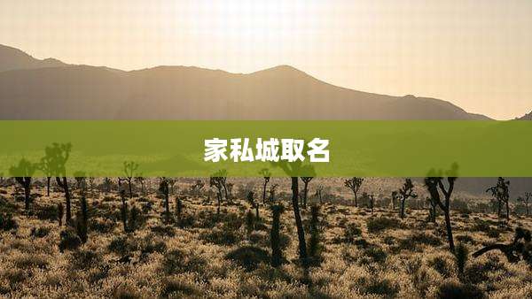 家私城取名