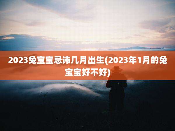 2023兔宝宝忌讳几月出生(2023年1月的兔宝宝好不好)