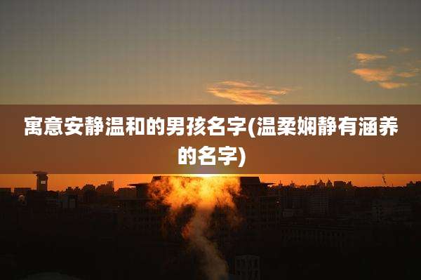 寓意安静温和的男孩名字(温柔娴静有涵养的名字)
