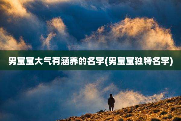 男宝宝大气有涵养的名字(男宝宝独特名字)