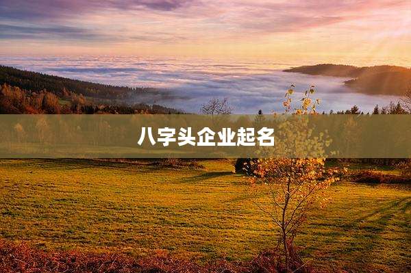 八字头企业起名